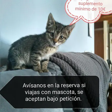 Quintanilla *